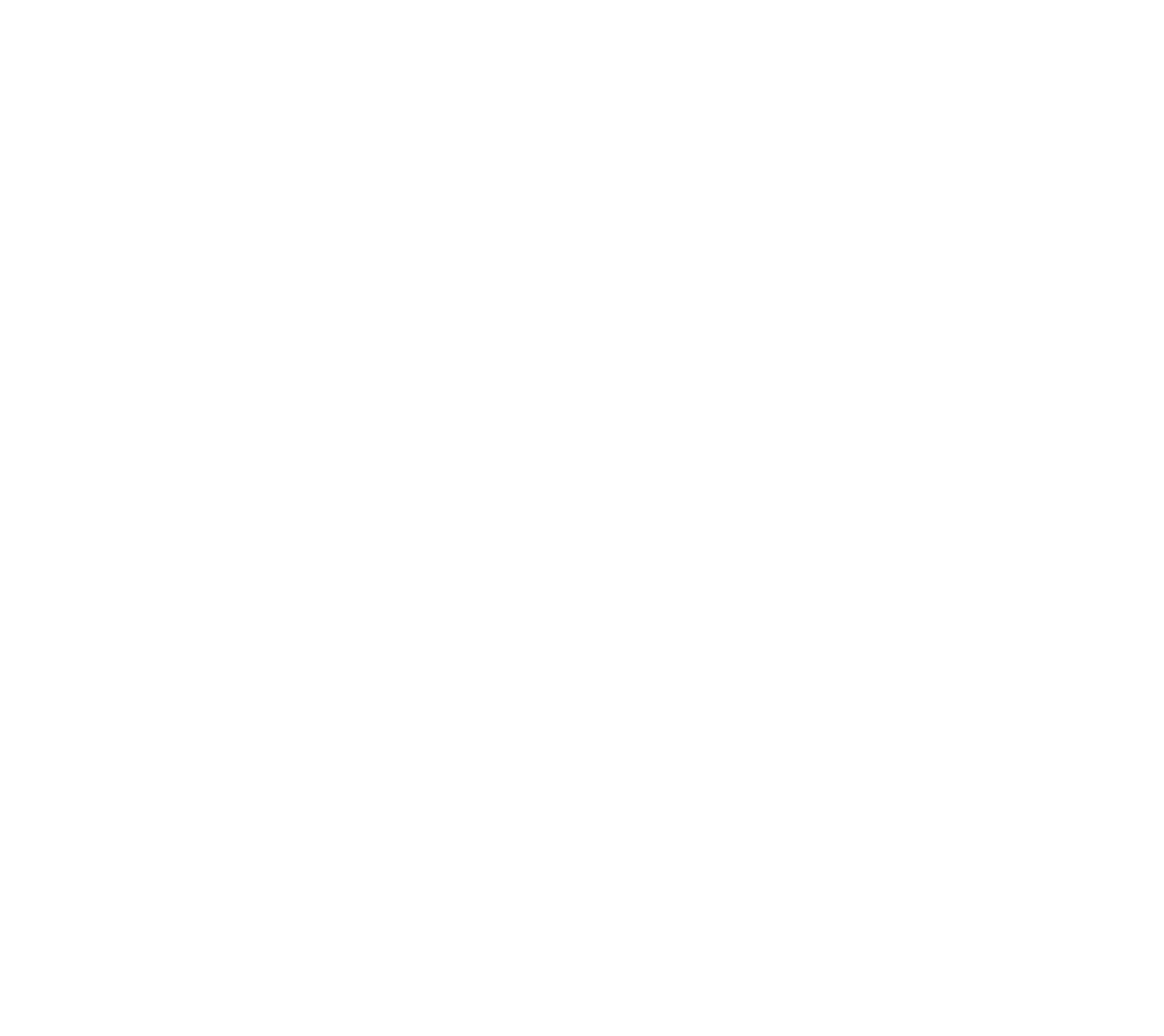 Logo APAE BR - white