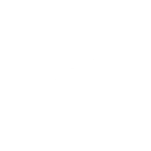 logo (13)